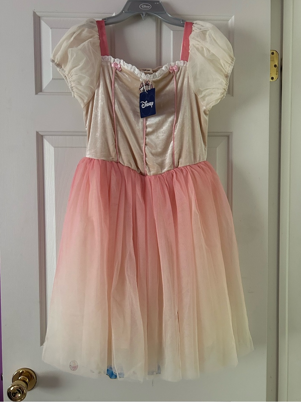 Taylor Joelle x Disney Marie ombré tutu dress size 14 cream and pink velvet NWT